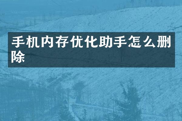 手机内存优化助手怎么删除
