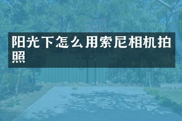 阳光下怎么用索尼相机拍照