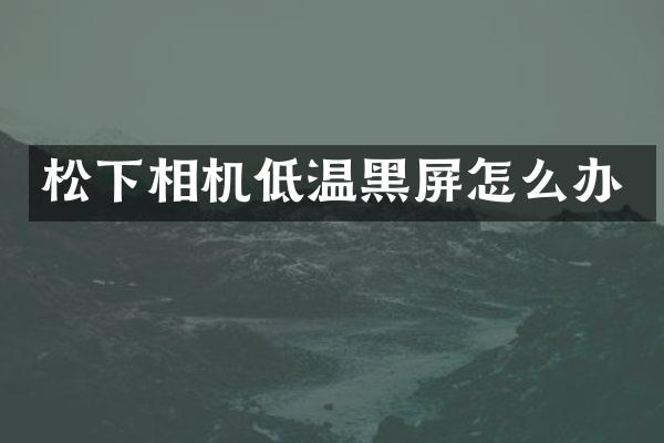 松下相机低温黑屏怎么办