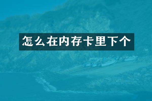 怎么在内存卡里下个