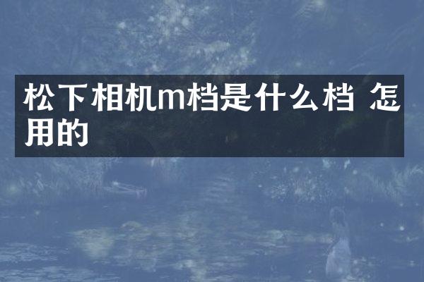 松下相机m档是什么档 怎么用的