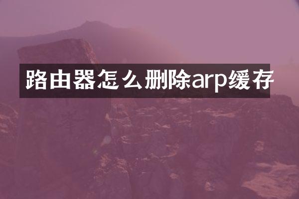 路由器怎么删除arp缓存