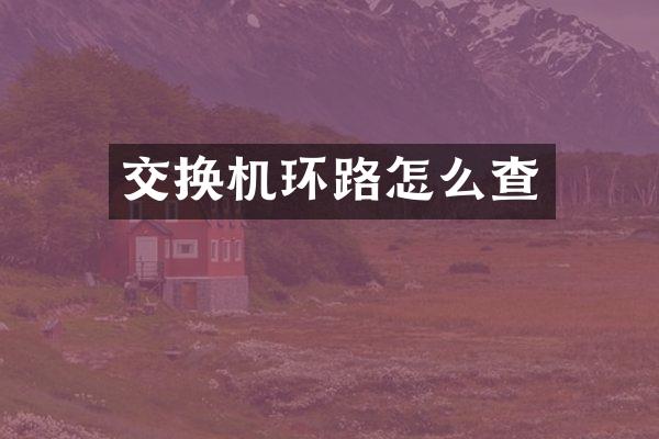 交换机环路怎么查