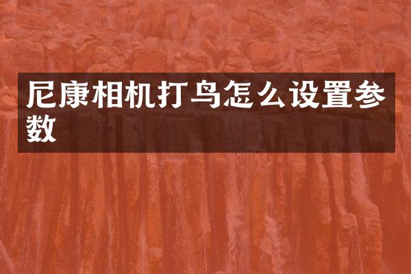 尼康相机打鸟怎么设置参数