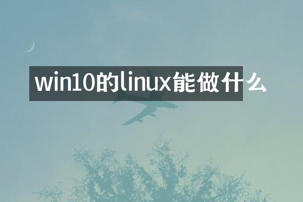 win10的linux能做什么