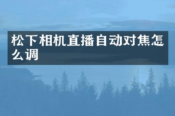 松下相机直播自动对焦怎么调