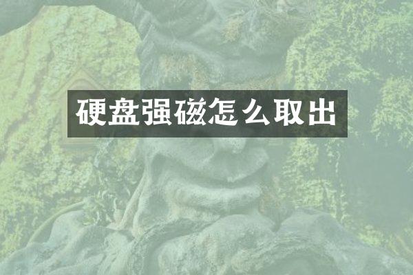 硬盘强磁怎么取出