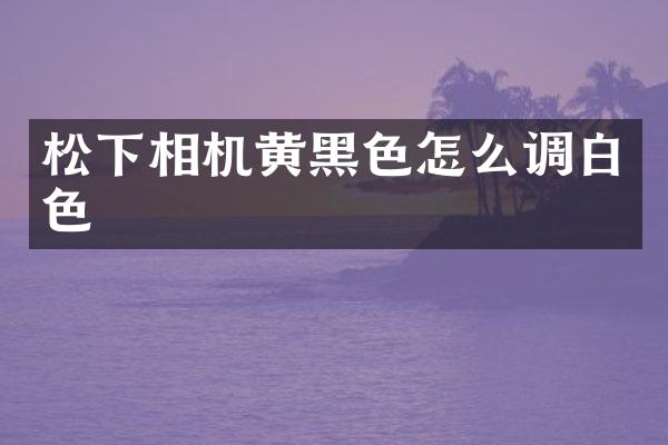 松下相机黄黑色怎么调白色