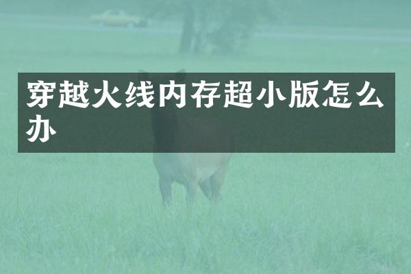 穿越火线内存超小版怎么办