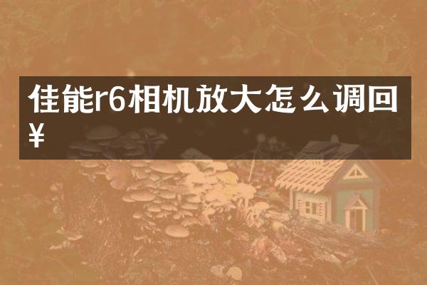 佳能r6相机放大怎么调回来