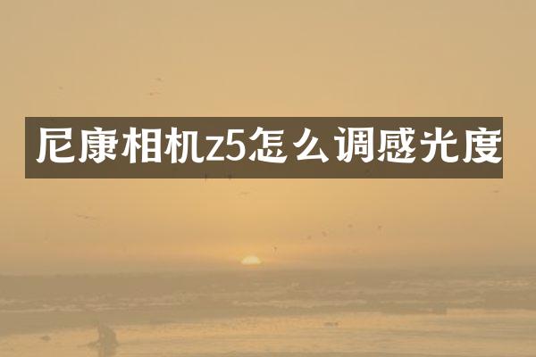 尼康相机z5怎么调感光度