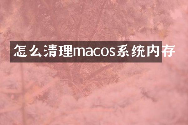 怎么清理macos系统内存