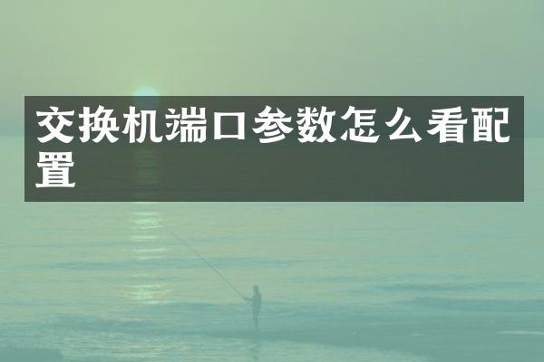 交换机端口参数怎么看配置