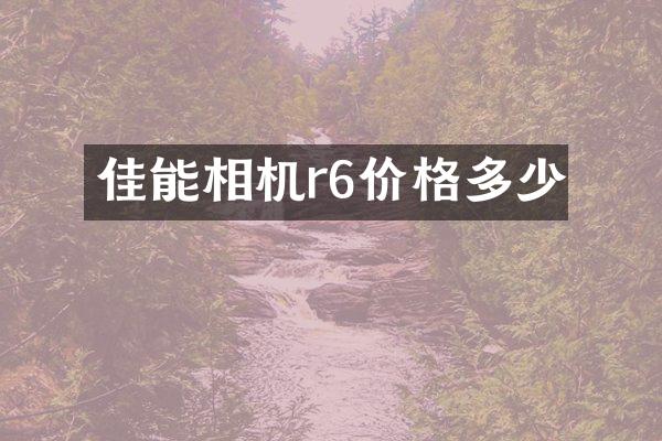 佳能相机r6价格多少