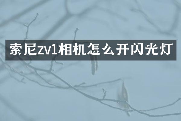 zv1相机怎么开闪光灯