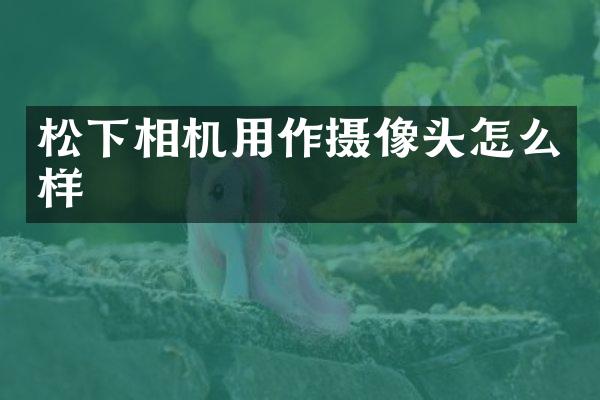 松下相机用作摄像头怎么样