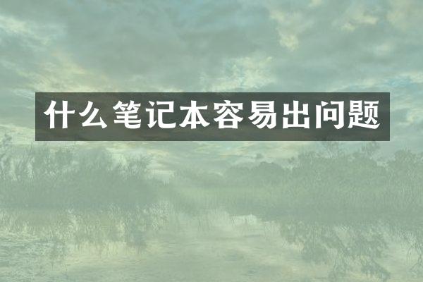 什么笔记本容易出问题