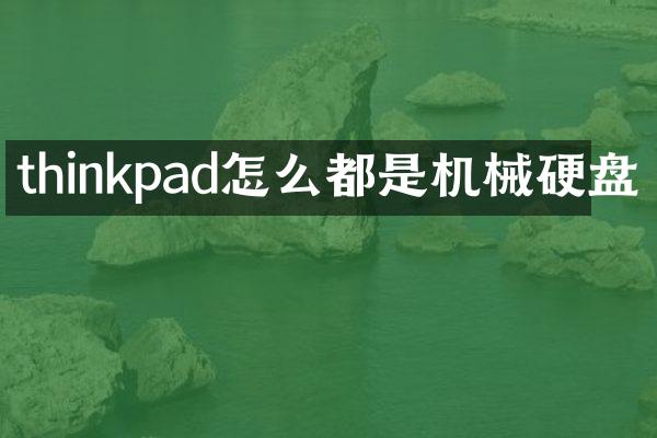 thinkpad怎么都是机械硬盘