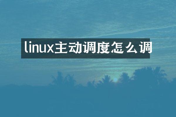 linux主动调度怎么调