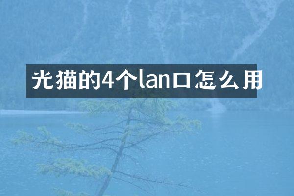 光猫的4个lan口怎么用