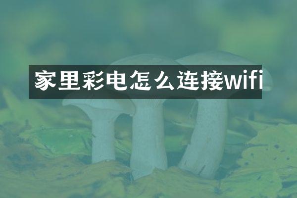 家里彩电怎么连接wifi