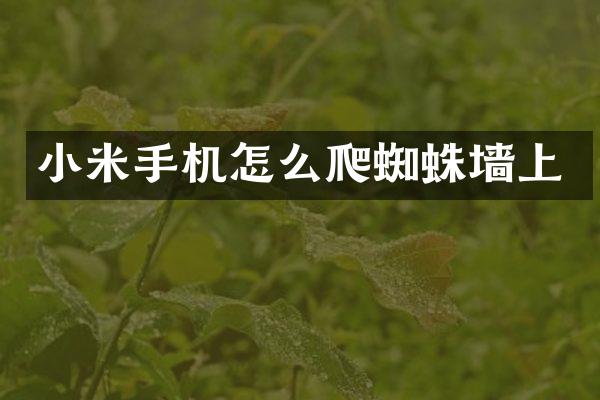 小米手机怎么爬蜘蛛墙上