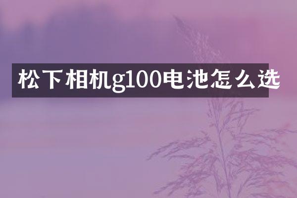 松下相机g100电池怎么选