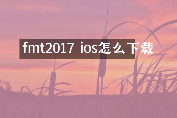 fmt2017 ios怎么下载