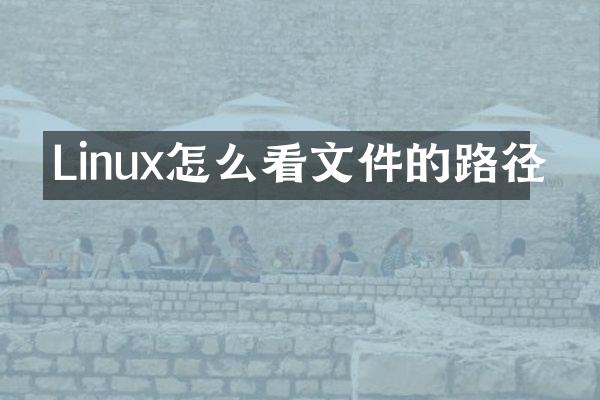 Linux怎么看文件的路径