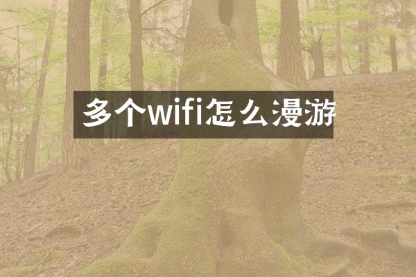 多个wifi怎么漫游