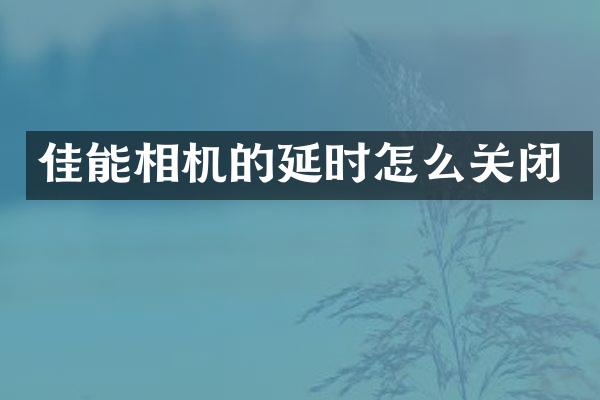 佳能相机的延时怎么关闭