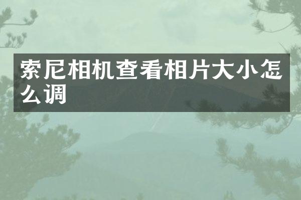 索尼相机查看相片大小怎么调
