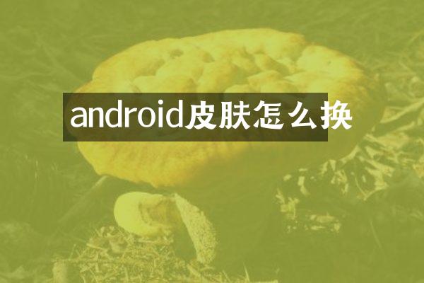 android皮肤怎么换