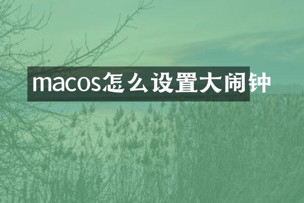 macos怎么设置大闹钟
