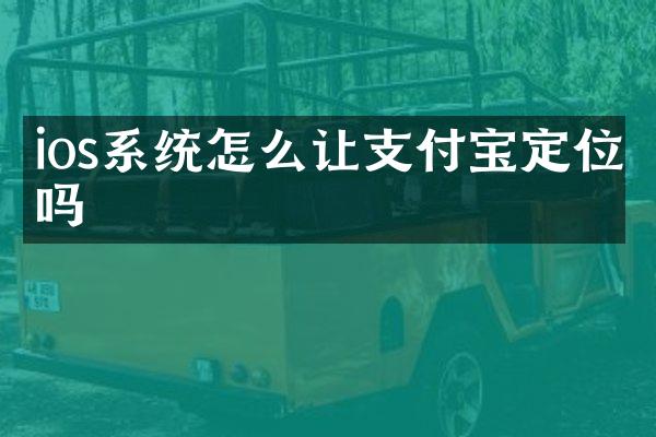 ios系统怎么让支付宝定位吗