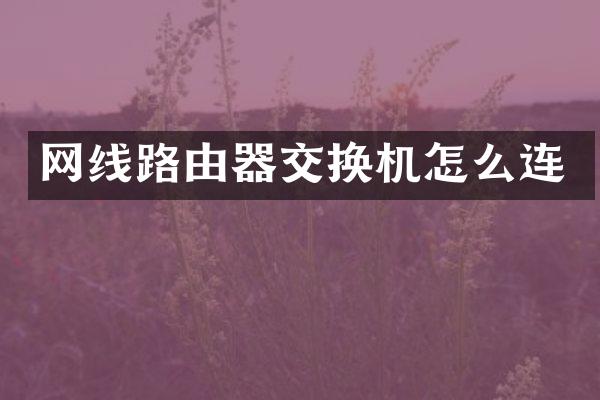 网线路由器交换机怎么连
