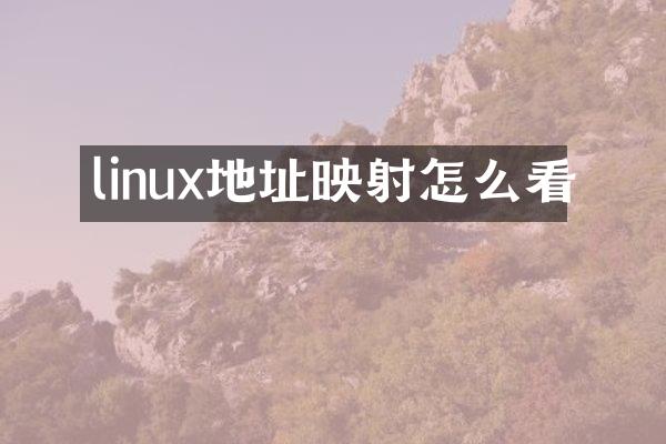 linux地址映射怎么看
