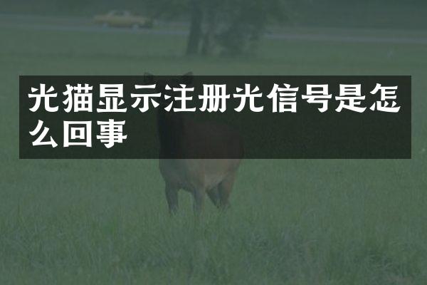 光猫显示注册光信号是怎么回事