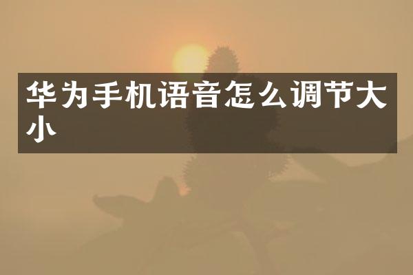 华为手机语音怎么调节大小
