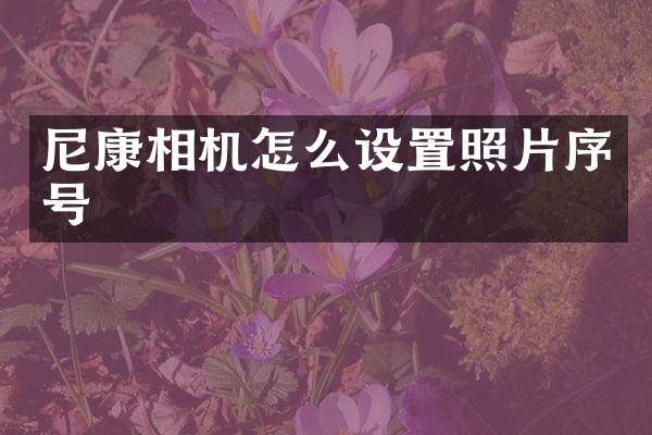 尼康相机怎么设置照片序号