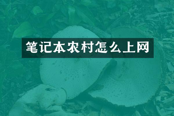 笔记本农村怎么上网