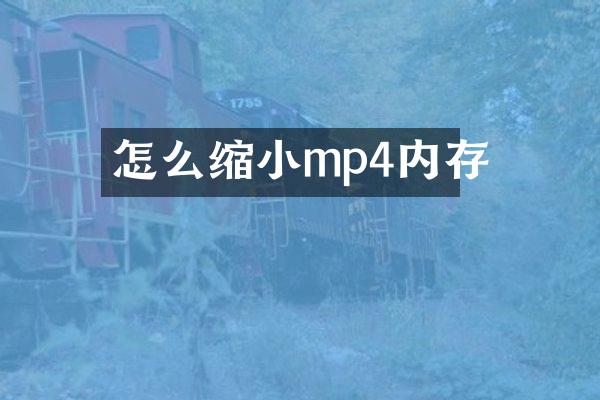 怎么缩小mp4内存