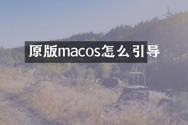 原版macos怎么引导