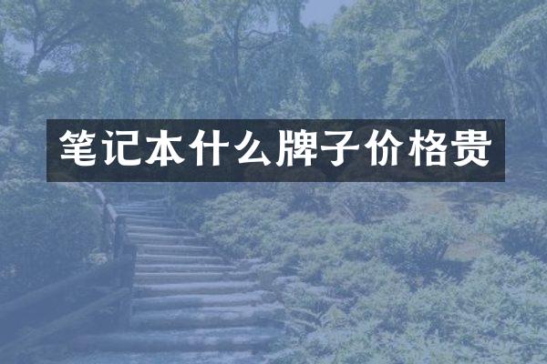 笔记本什么牌子价格贵