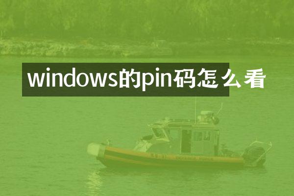 windows的pin码怎么看