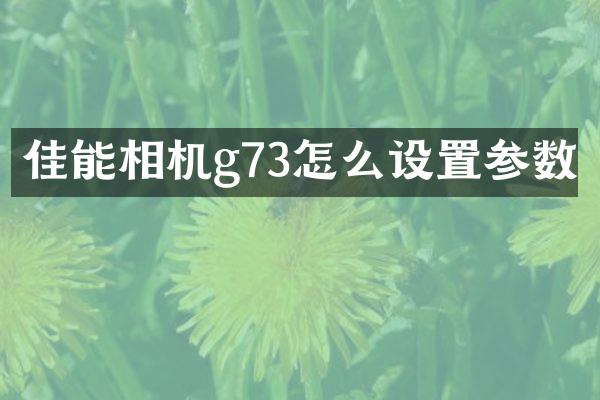 佳能相机g73怎么设置参数