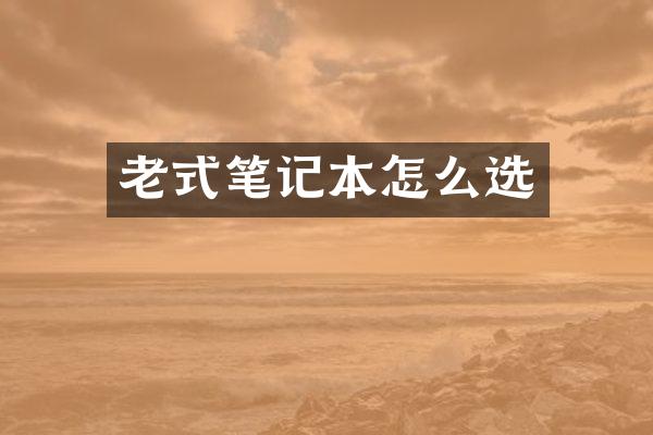 老式笔记本怎么选