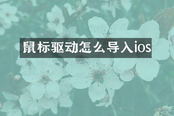 鼠标驱动怎么导入ios