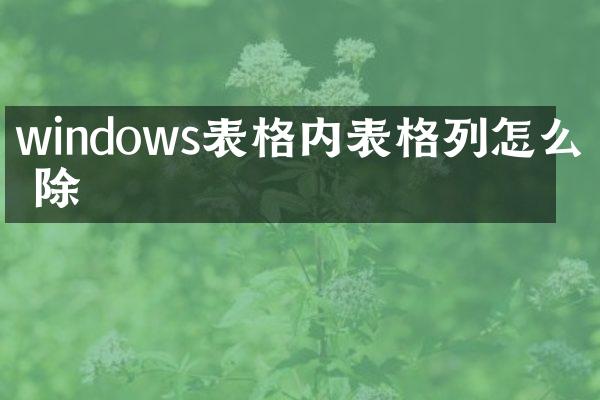 windows表格内表格列怎么删除