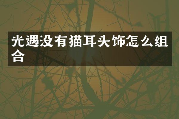 光遇没有猫耳头饰怎么组合